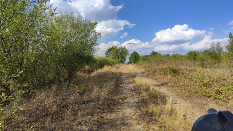 farm-orchard-livada-lpva108ha (34)