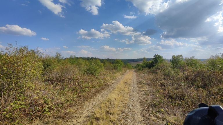 farm-orchard-livada-lpva108ha (35)