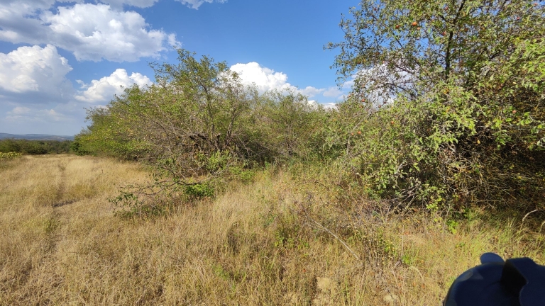 farm-orchard-livada-lpva108ha (38)