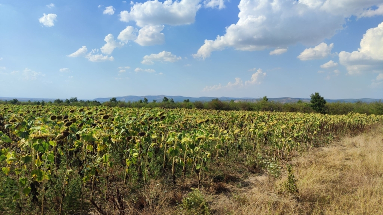 farm-orchard-livada-lpva108ha (39)