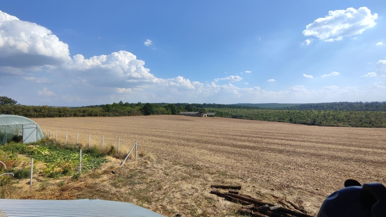 farm-orchard-livada-lpva108ha (4)
