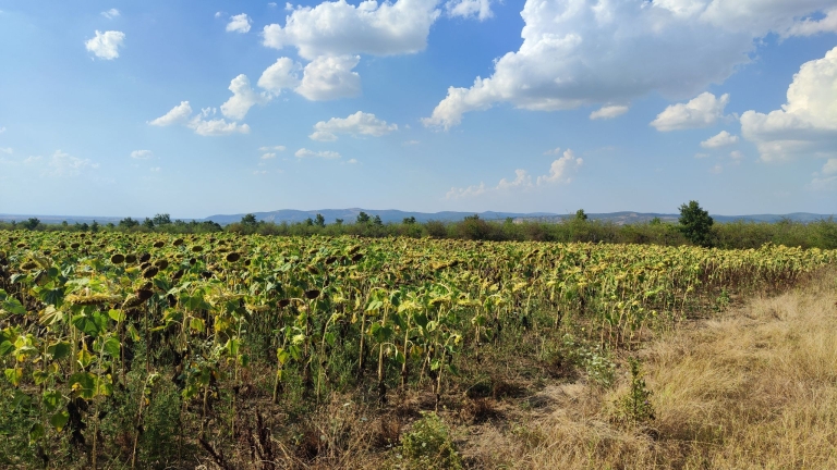 farm-orchard-livada-lpva108ha (40)