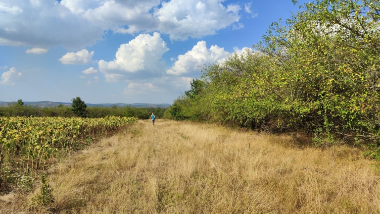 farm-orchard-livada-lpva108ha (41)
