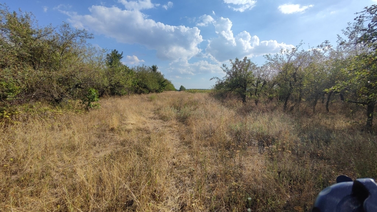 farm-orchard-livada-lpva108ha (45)