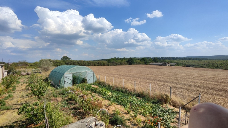 farm-orchard-livada-lpva108ha (51)
