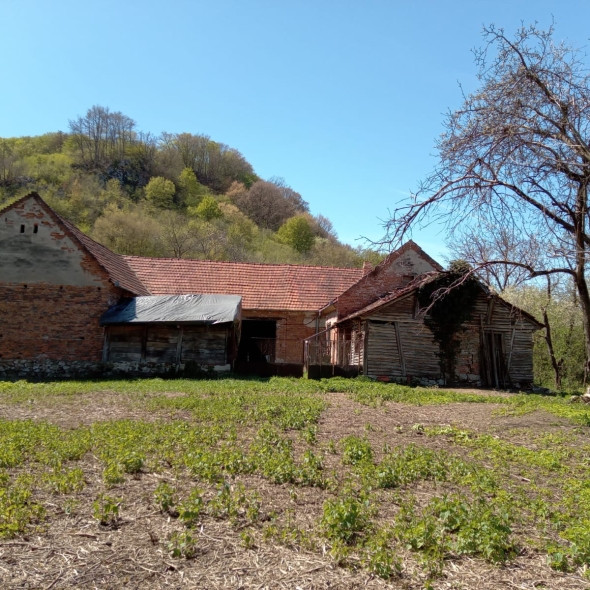 casa-carm-caprioara (21)