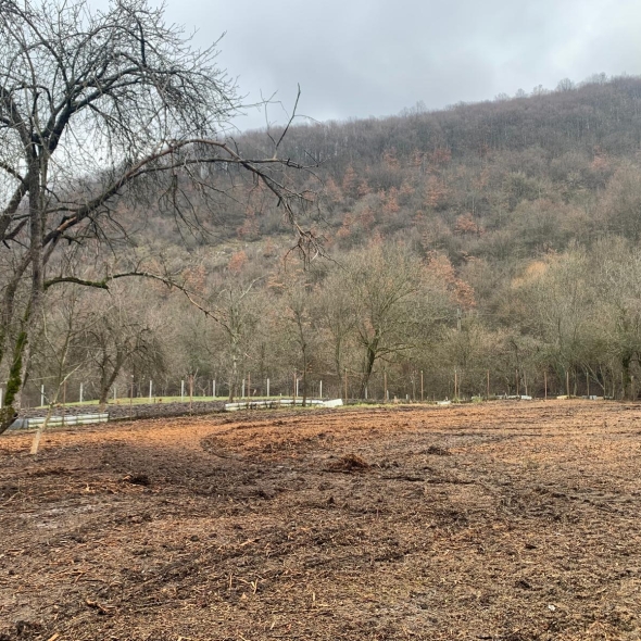 casa-carm-caprioara (5)