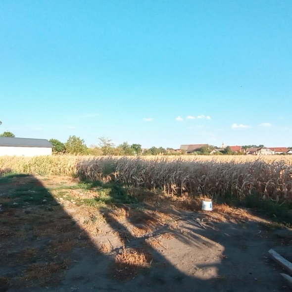 casa_vila_periam (5)