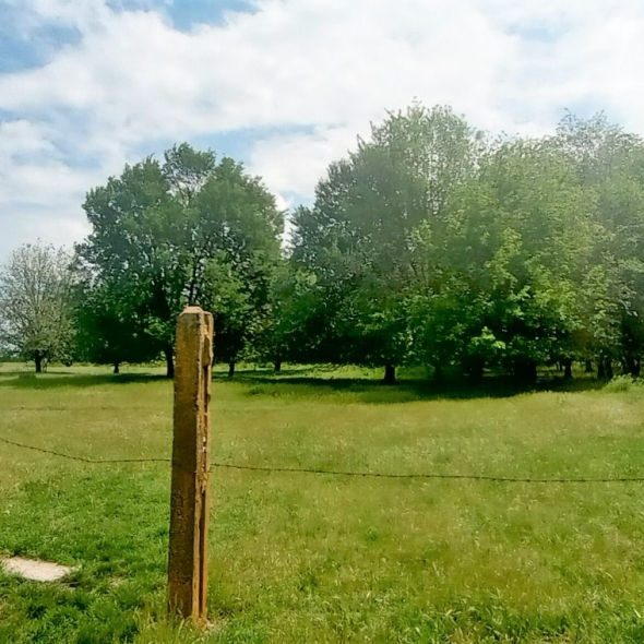 cattle-farm-infra-4m (10)