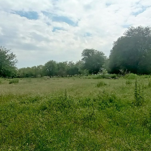 cattle-farm-infra-4m (11)