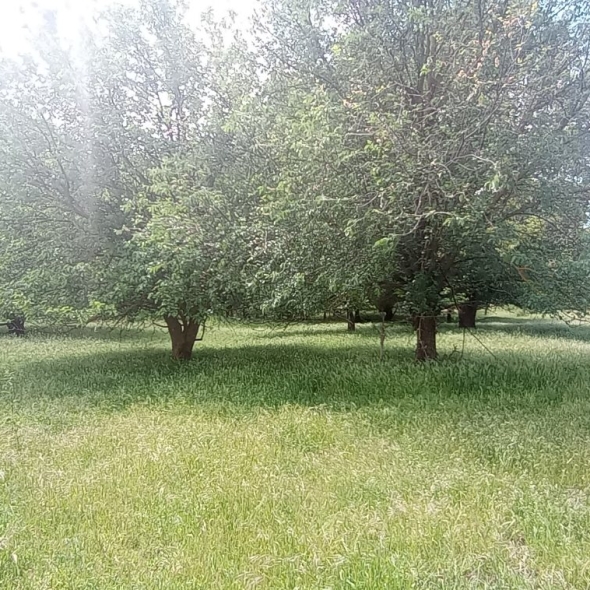 cattle-farm-infra-4m (12)