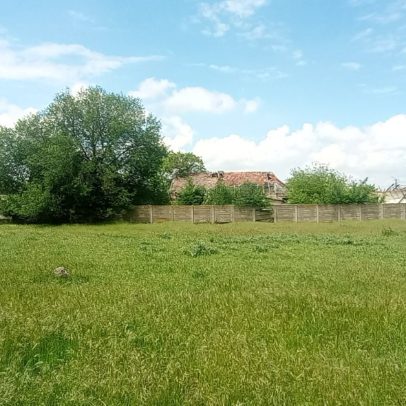 cattle-farm-infra-4m (14)