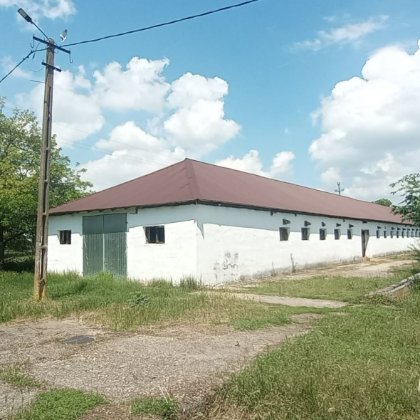 cattle-farm-infra-4m (24)