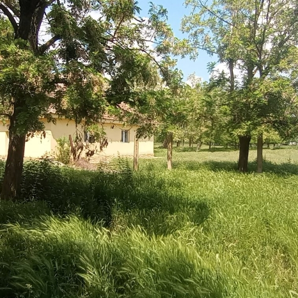 cattle-farm-infra-4m (26)