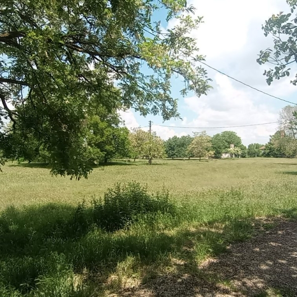 cattle-farm-infra-4m (31)