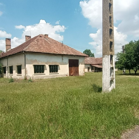 cattle-farm-infra-4m (32)