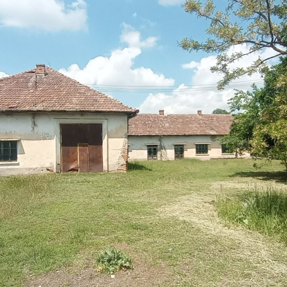 cattle-farm-infra-4m (33)