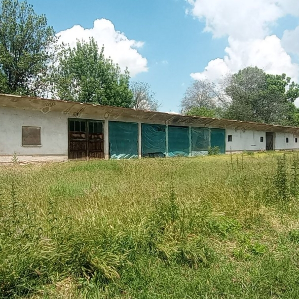 cattle-farm-infra-4m (34)