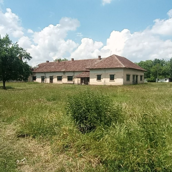 cattle-farm-infra-4m (35)