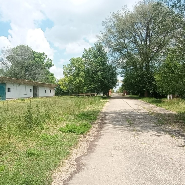 cattle-farm-infra-4m (36)