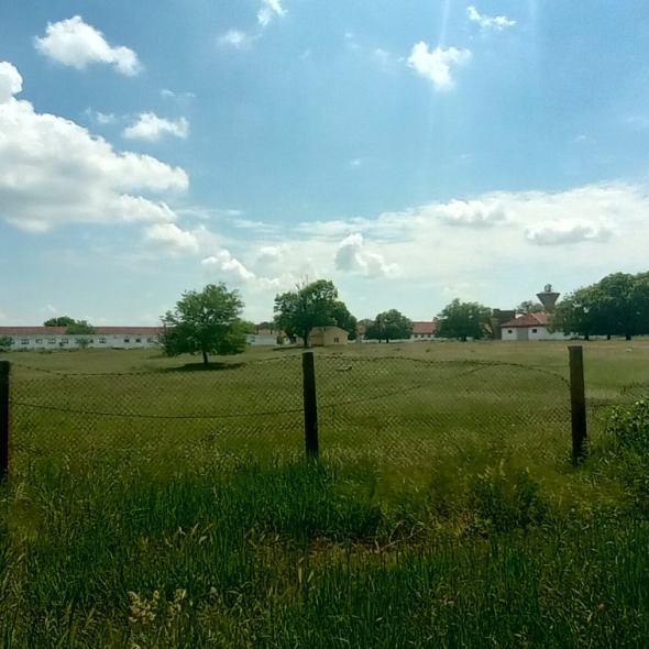 cattle-farm-infra-4m (37)