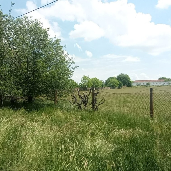 cattle-farm-infra-4m (38)