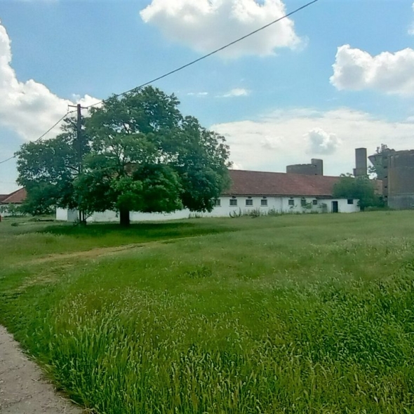 cattle-farm-infra-4m (40)