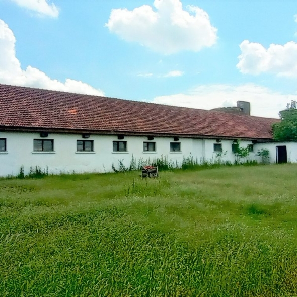cattle-farm-infra-4m (41)
