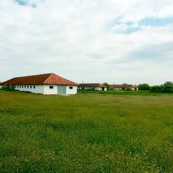 cattle-farm-infra-4m (48)