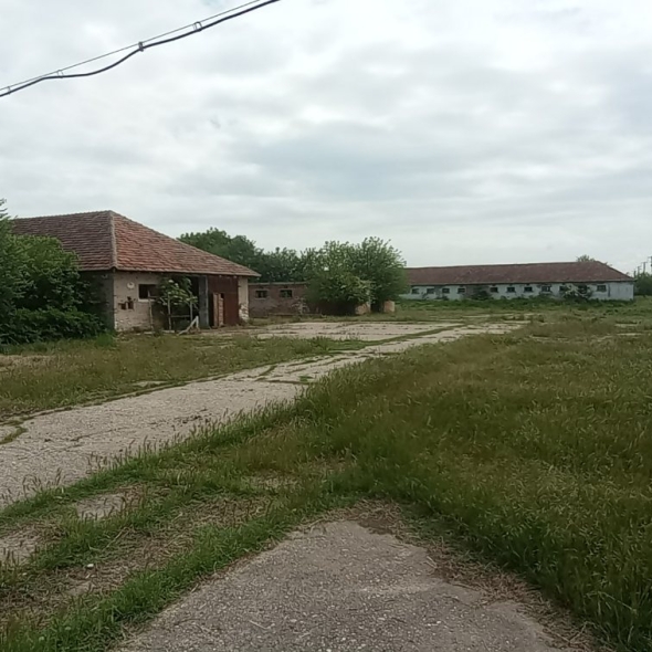 cattle-farm-infra-4m (5)