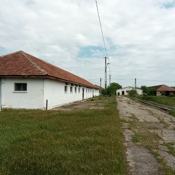 cattle-farm-infra-4m (50)