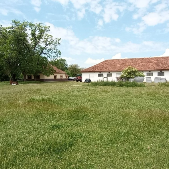 cattle-farm-infra-4m (51)