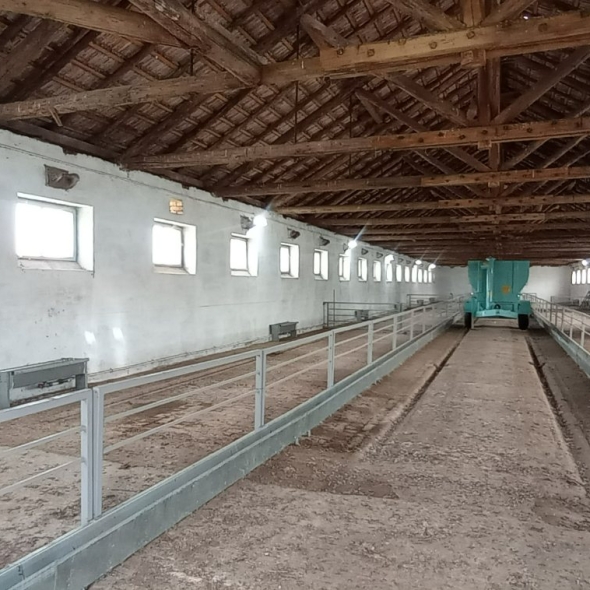 cattle-farm-infra-4m (52)