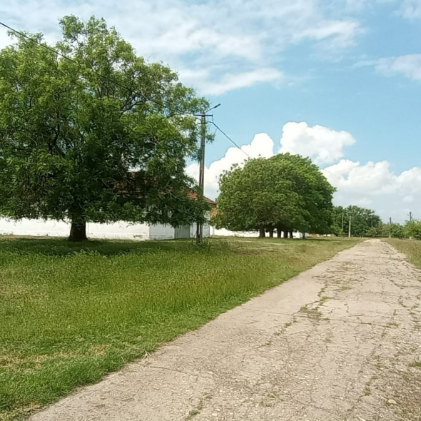 cattle-farm-infra-4m (8)