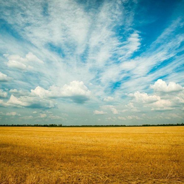 land-teren-bg-image-collectionCG (3)