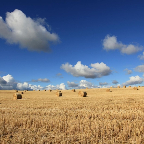 land-teren-bg-image-collectionCG (9)