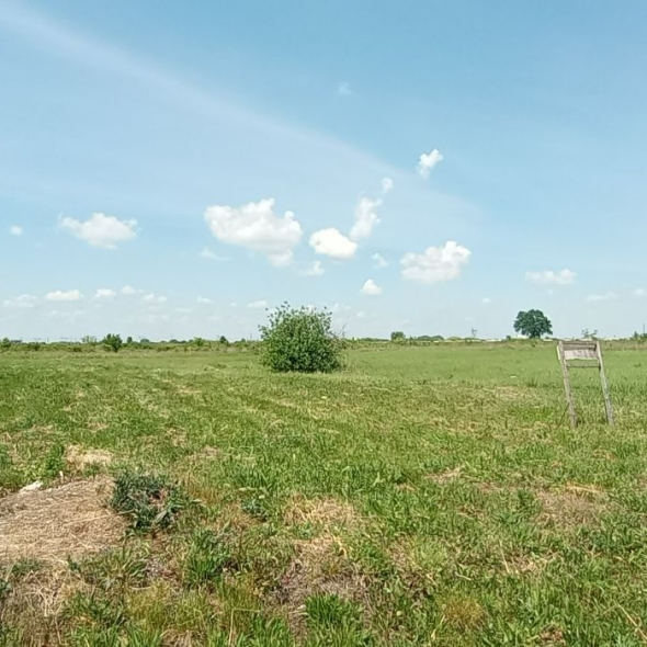 plot1 (846mp-16fs) (11)
