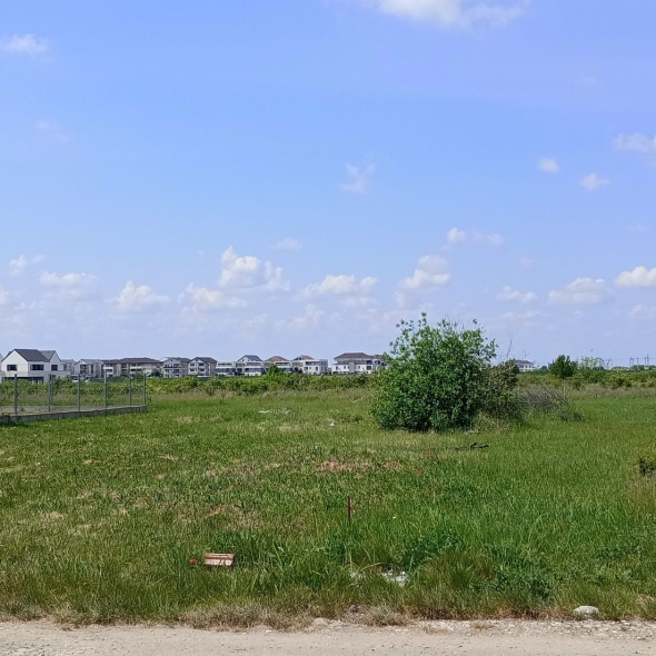 plot1 (846mp-16fs) (8)