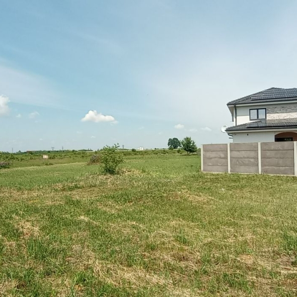 plot2-947mp-20fs (11)