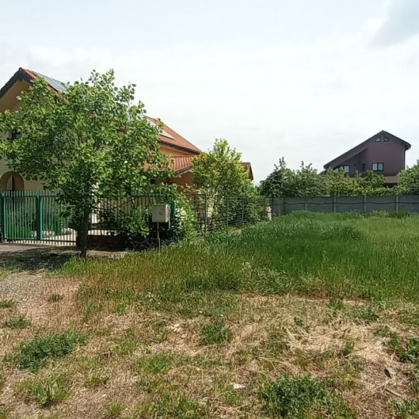 plot2-947mp-20fs (16)