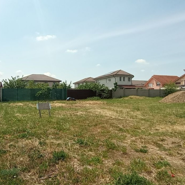 plot2-947mp-20fs (19)