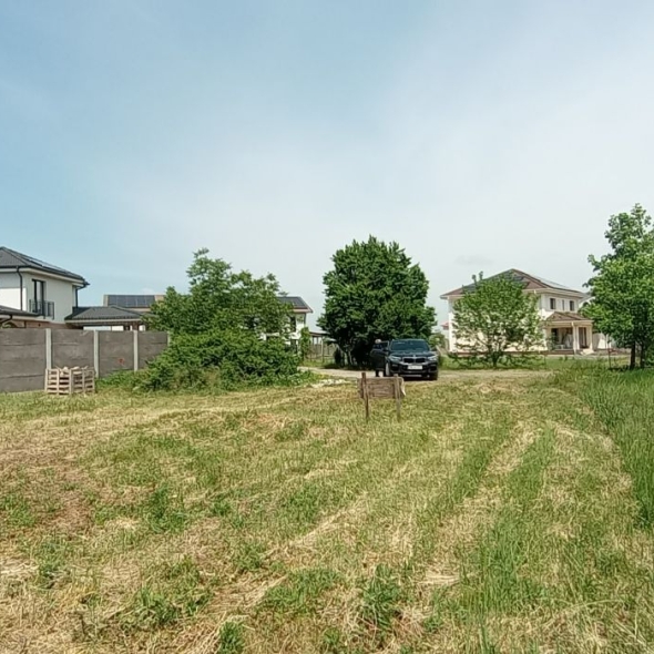 plot2-947mp-20fs (21)