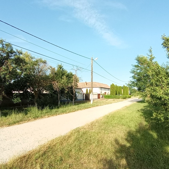 Teren de vanzare constructie casa Șimand Arad