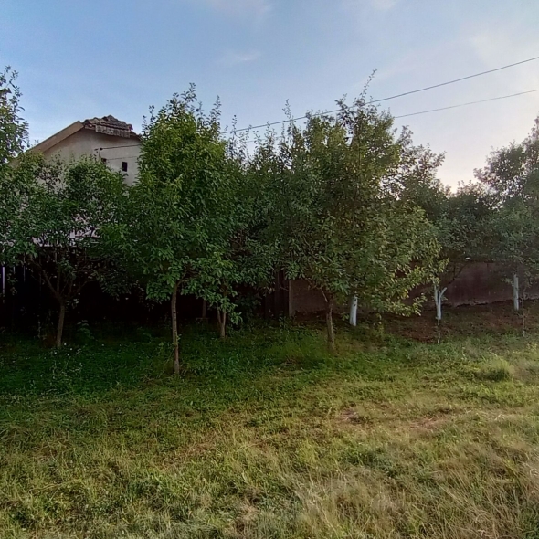 Teren de vanzare constructie casa Șimand Arad