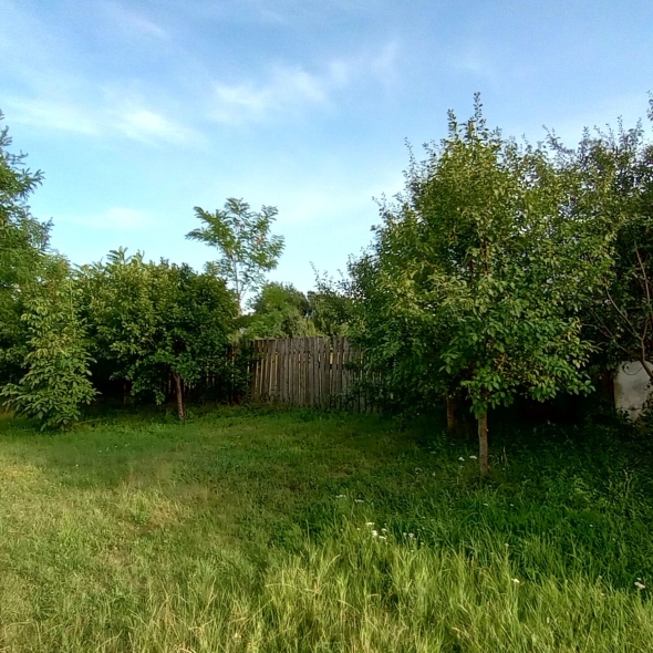 Teren de vanzare constructie casa Șimand Arad