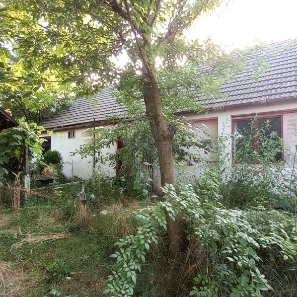 Casa Glia - Teren de vanzare constructie casa Șimand Arad