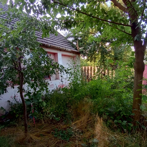 Casa Glia - Teren de vanzare constructie casa Șimand Arad