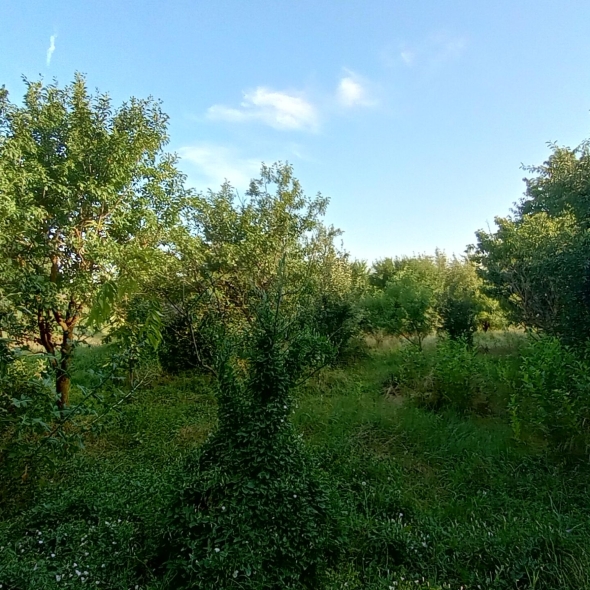 Casa Glia - Teren de vanzare constructie casa Șimand Arad