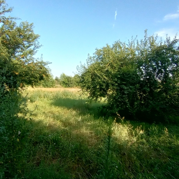 Teren de vanzare constructie casa Șimand Arad