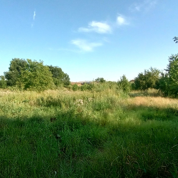 Teren de vanzare constructie casa Șimand Arad